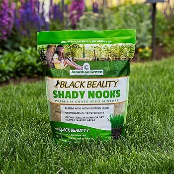 Amazon.com : Jonathan Green (11959) Black Beauty Shady Nooks